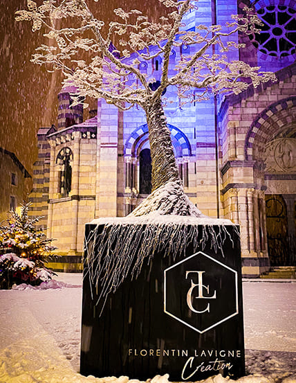 Florentin Lavigne Creation - Création arbre